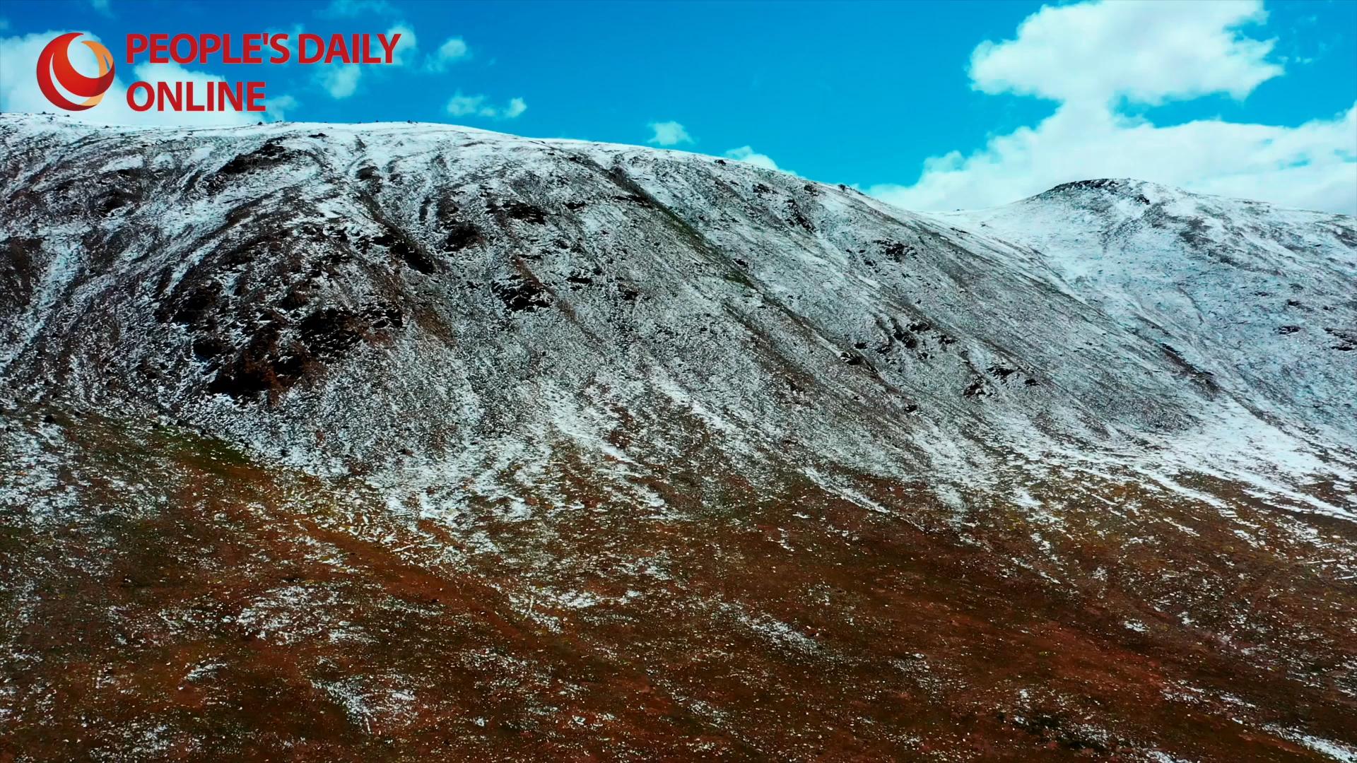 A 'kindergarten' for Tibetan antelopes in Hoh Xil