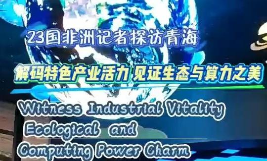 Witness Industrial Vitality Ecological and Computing Power Charm