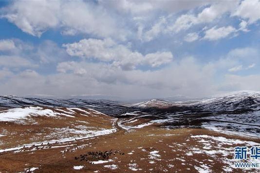 The Snowy Jinyintan Grassland in Haibei Tibetan Autonomous Prefecture