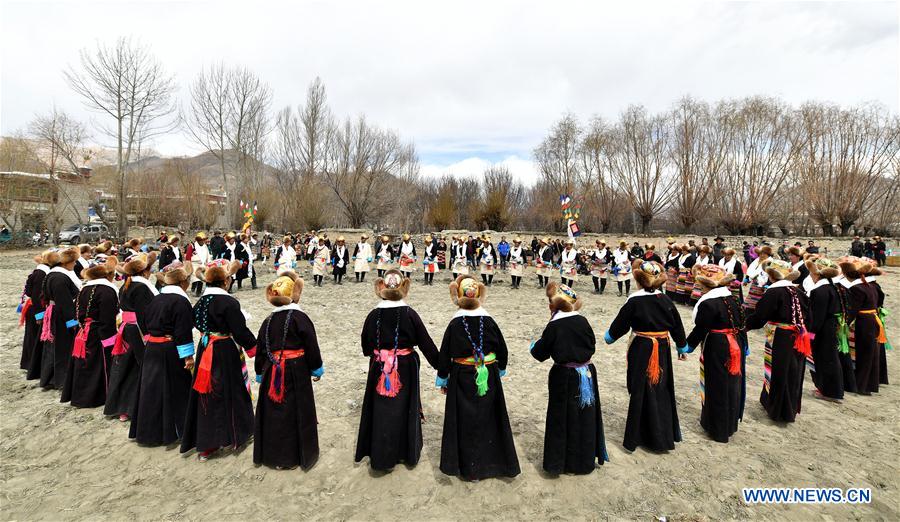 Ceremony marking start of spring plowing held in Khesum Village, China's Tibet
