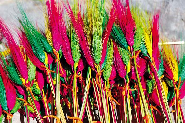 Tibetan New Year flowers made to welcome Losar in Lhasa