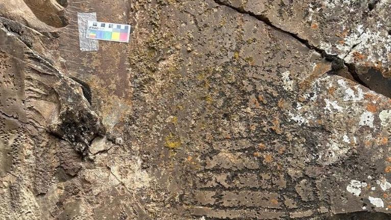 Rock paintings found in NW China's Qinghai