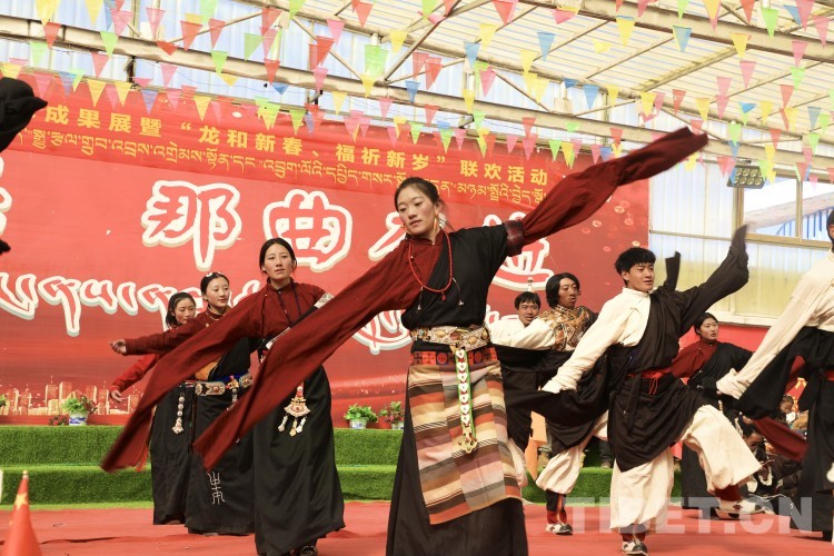 Celebrate the Spring Festival and the Tibetan New Year in Tandui Township, Nagqu