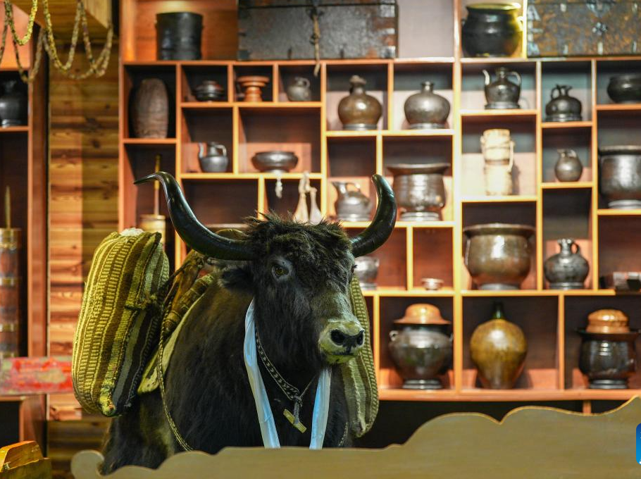 In pics: Tibetan-style teahouse in China's Nagqu