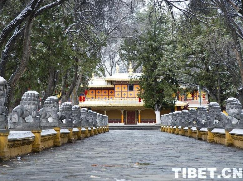 World Cultural Heritage Site：Norbulingka