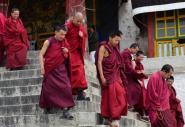 Monks take test on laws and regulations in Tibet