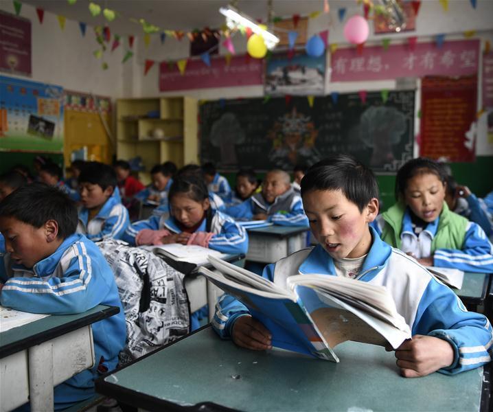 Qinghai makes teaching Tibetan a priority