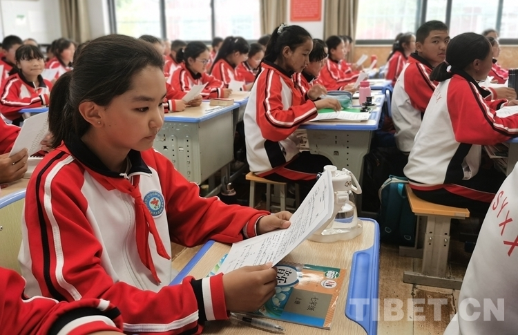 Xizang to raise educational subsidy standard
