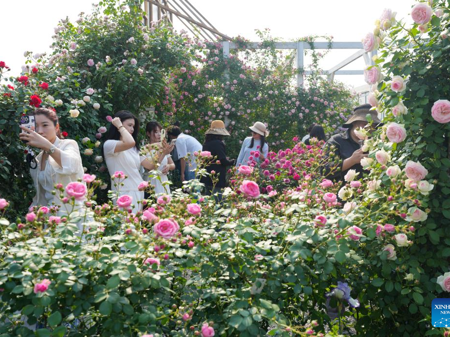 2025 World Garden Show kicks off in E China's Zhejiang