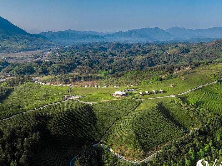 Town in E China's Anhui boosts rural revitalization with tea industry