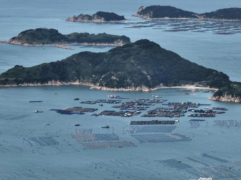 Abalone enters harvest season in Fujian