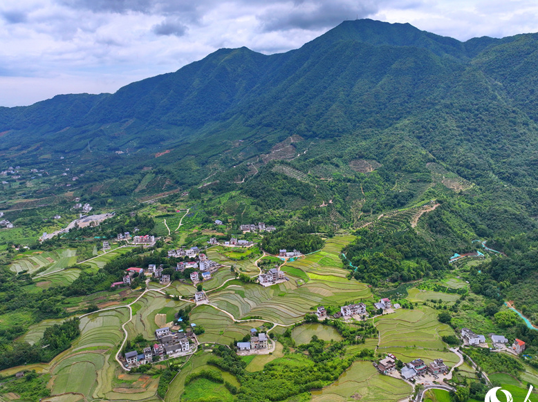 Verdant terraced fields offer picturesque views in Chongyi, E China's Jiangxi