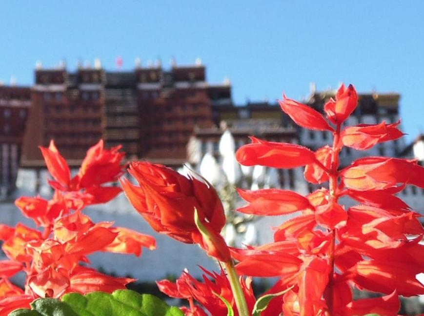 Xi urges villagers in Xizang to uphold ethnic solidarity