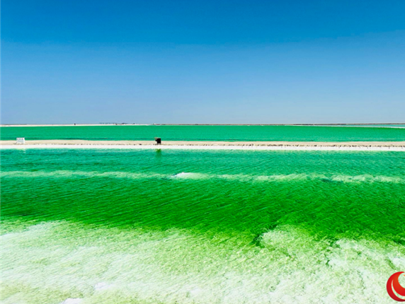 Salt lake industry thrives in NW China's Qinghai