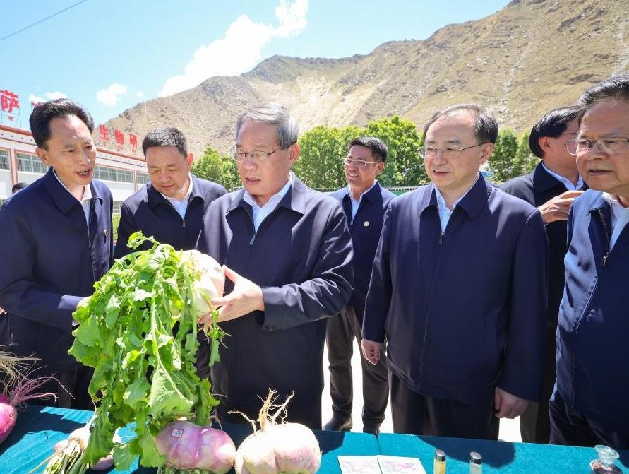 Chinese premier stresses high-quality implementation of major national projects