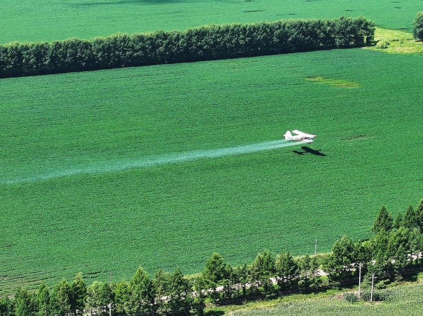 Aerial crop protection underway in NE China's Beidahuang fields
