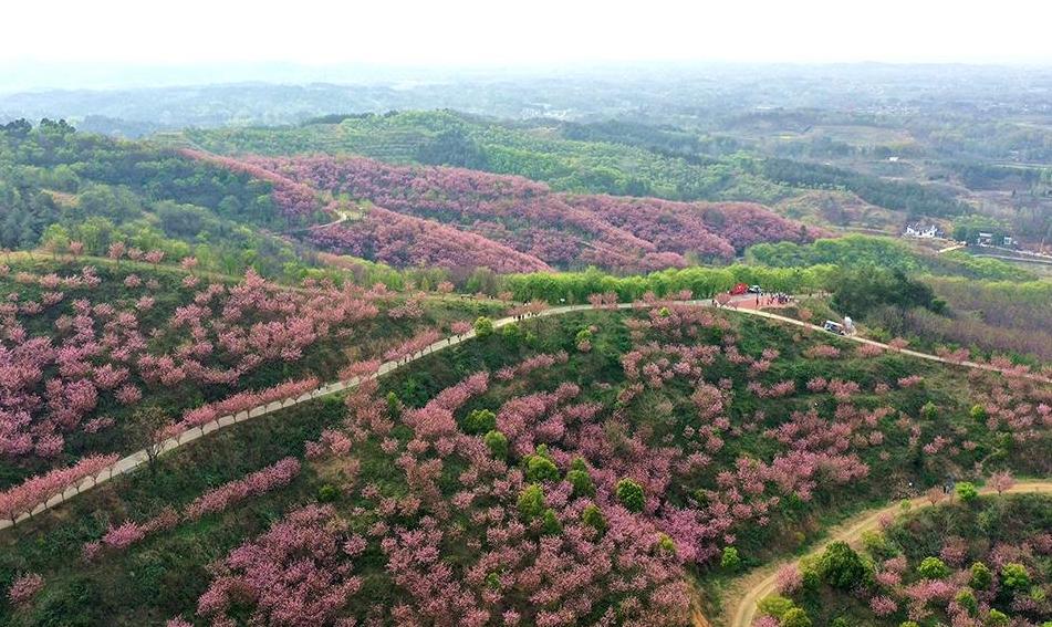 A glimpse of stunning landscapes illustrating 'lucid waters and lush mountains are invaluable assets'