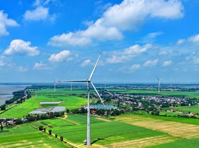 China drives global energy transition through green cooperation