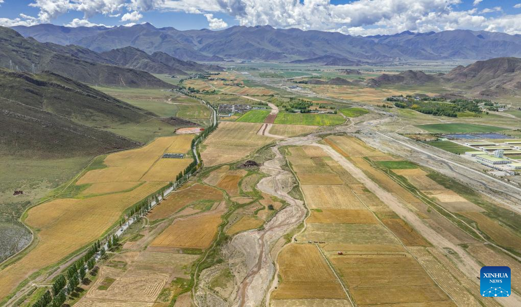 Farmers' harvest festival marked in China's Xizang