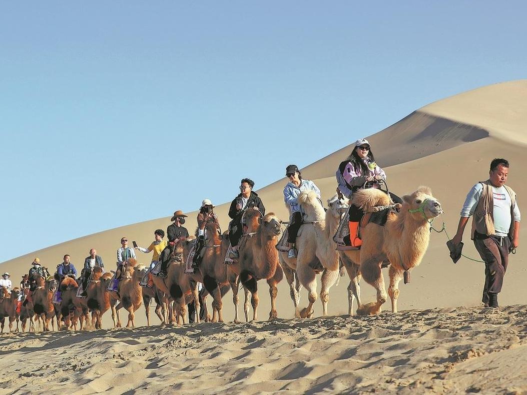 Domestic, overseas holiday bookings see strong growth