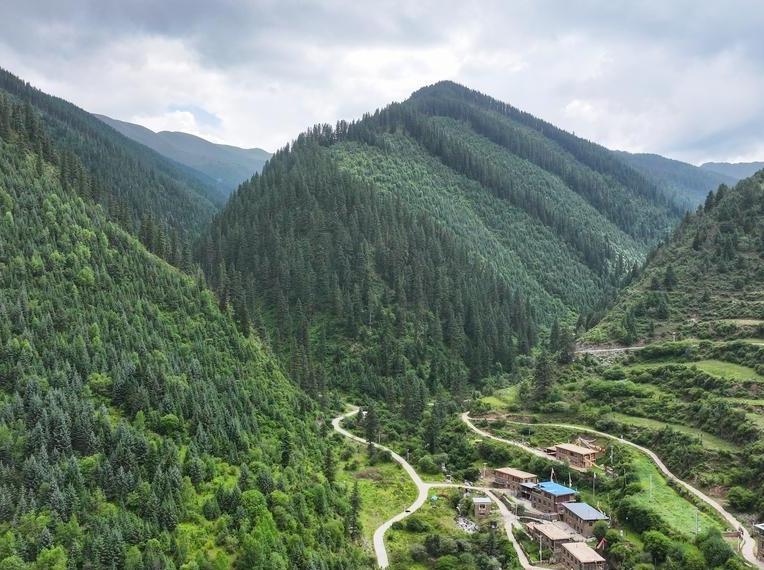 From logging to guardianship: How China protects green source of its 'mother river'