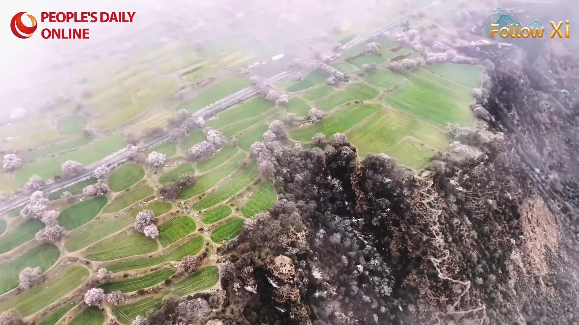 Protecting green mountains and clear waters in Nyingchi: Xizang's 'Jiangnan on the Snowy Plateau'