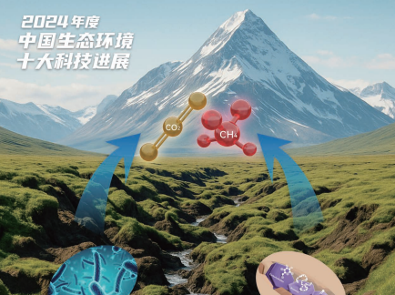 Permafrost collapse study helps preserve Qinghai-Tibet Plateau ecosystem