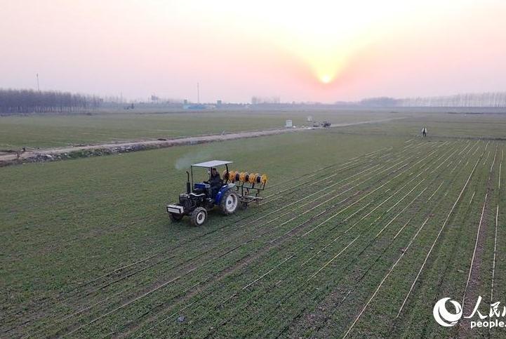 Spring crop management becomes smarter in C China's Henan