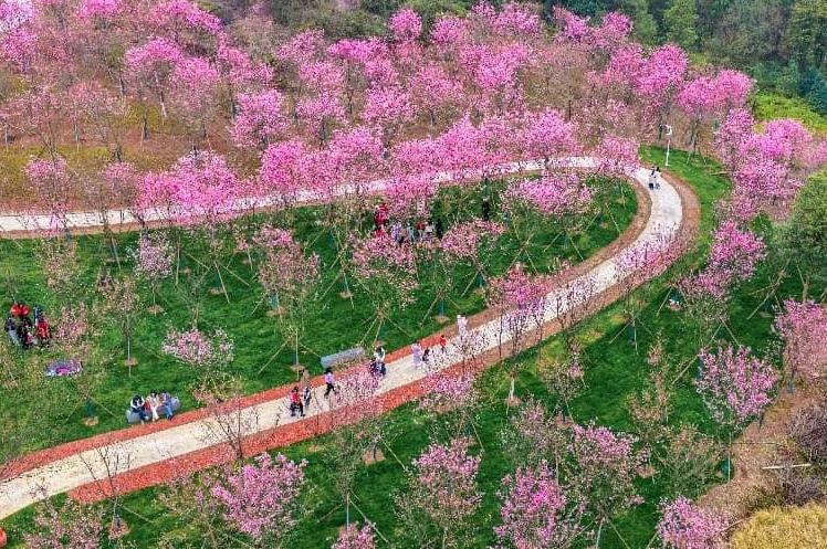 China's green transformation: a global asset