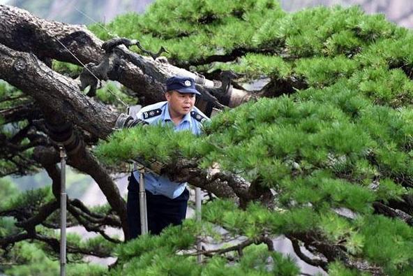 NPC deputies, CPPCC members highlight green as defining feature of a Beautiful China