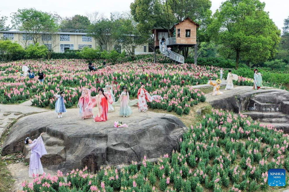 Flower-themed scenic areas drive rural tourism in Chongqing's village