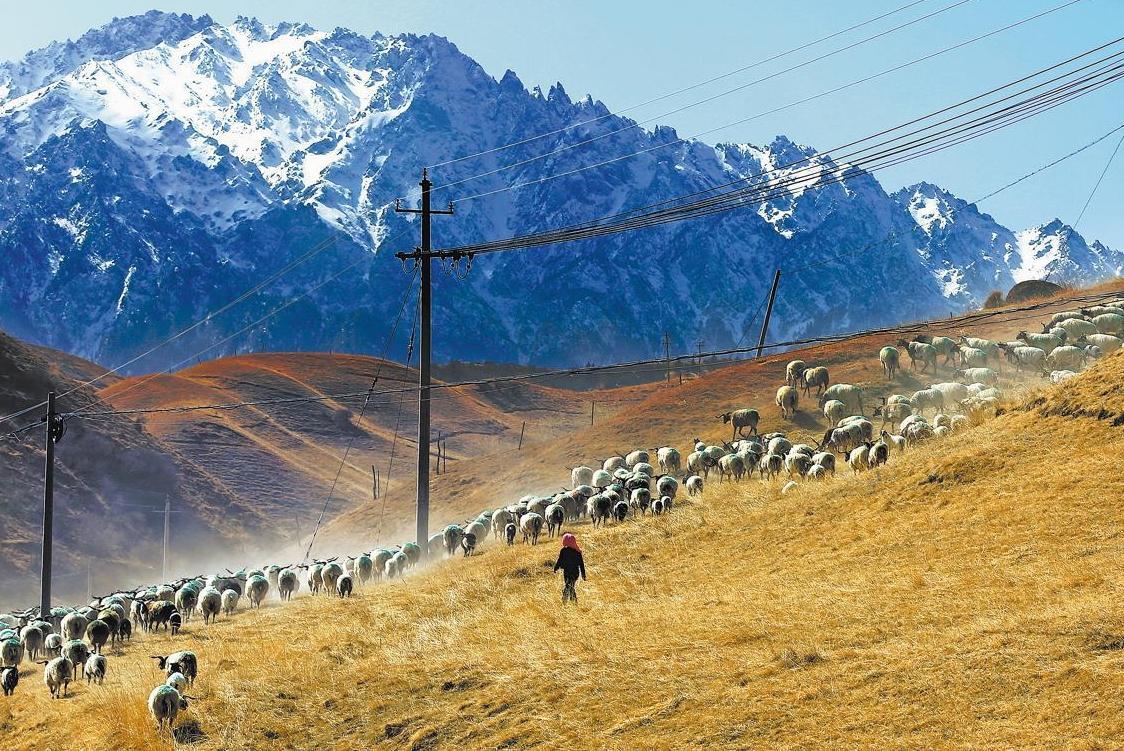 Ten photos from across China: March 20 - 26