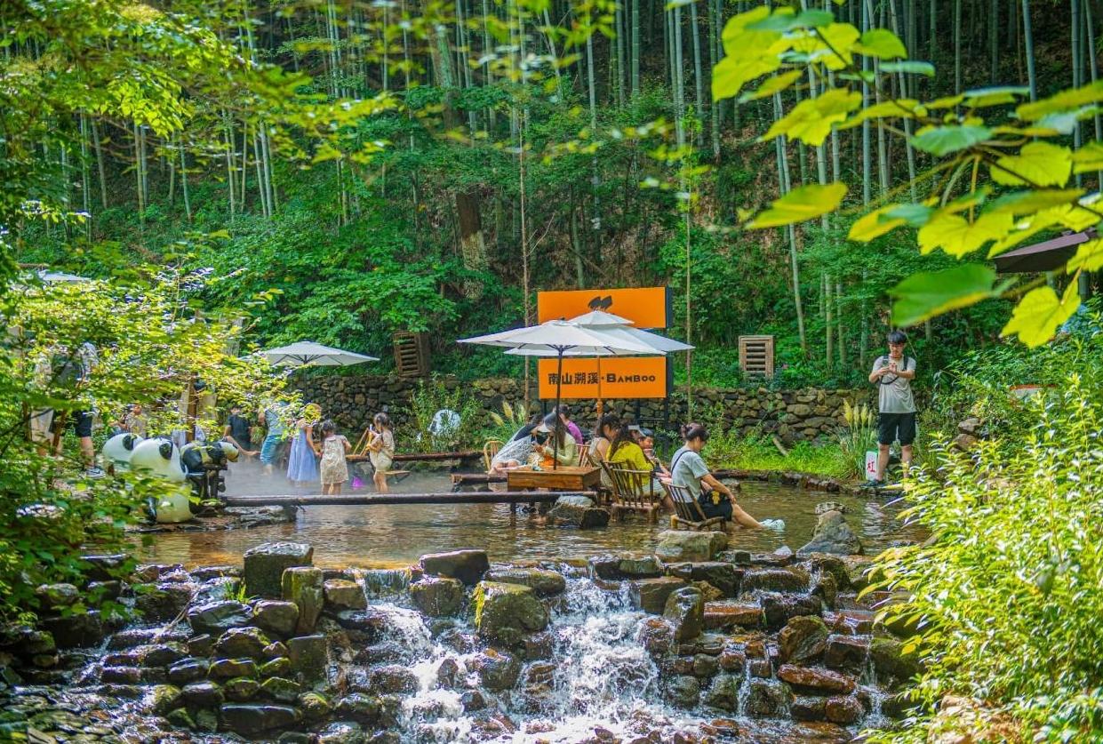 Bamboo: the tiny giant powering China's plastic replacement drive