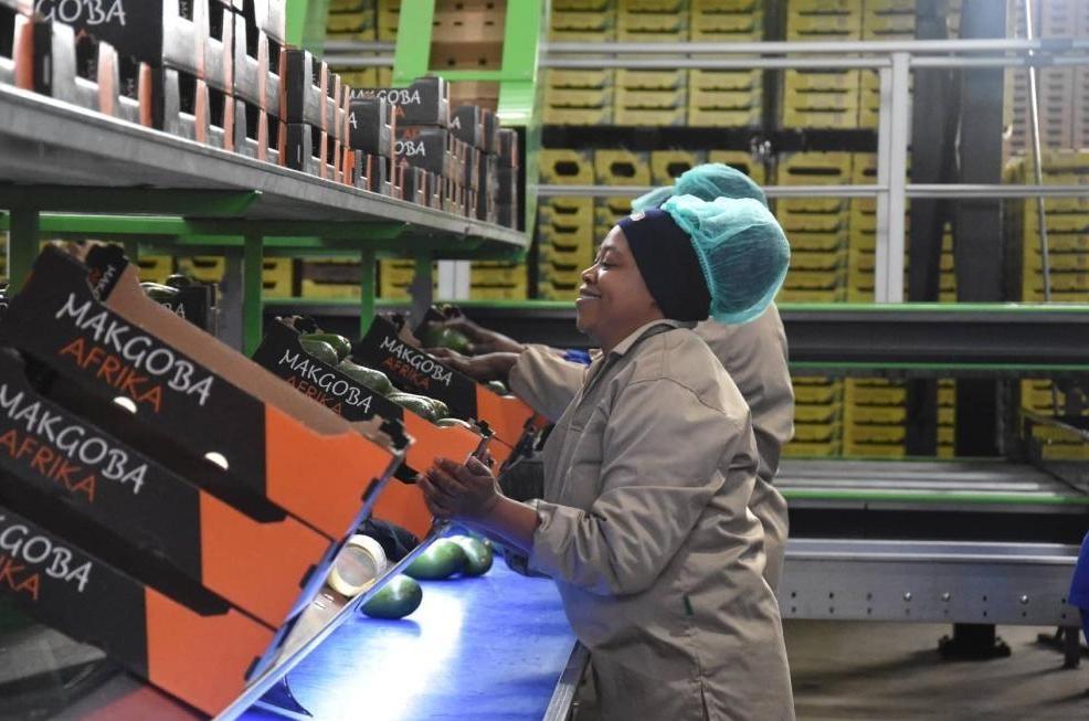 China's zero-tariff policy widely applauded in Africa
