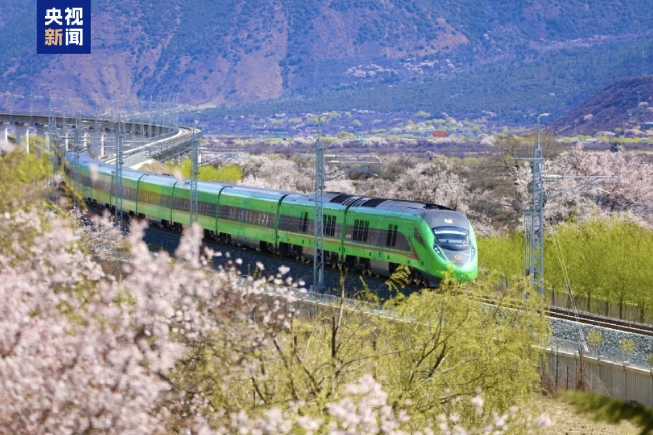 Blossoms bring prosperity: How Xizang balances tourism growth and ecological protection