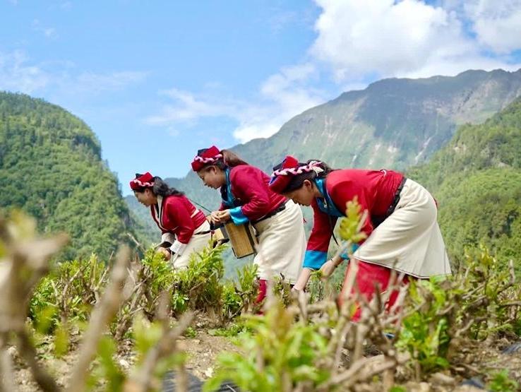 Pairing assistance brings industries, jobs to remote area in SW China's Xizang