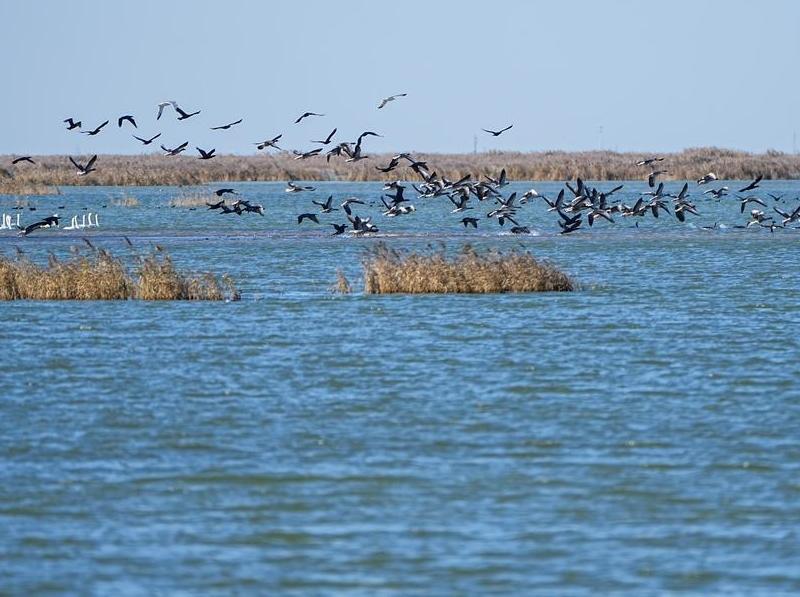 Yellow River records 27 consecutive years of uninterrupted flow