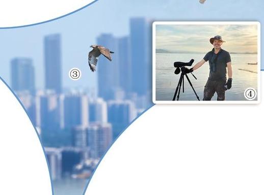Foreign birdwatchers build lasting ties to Beijing through birds