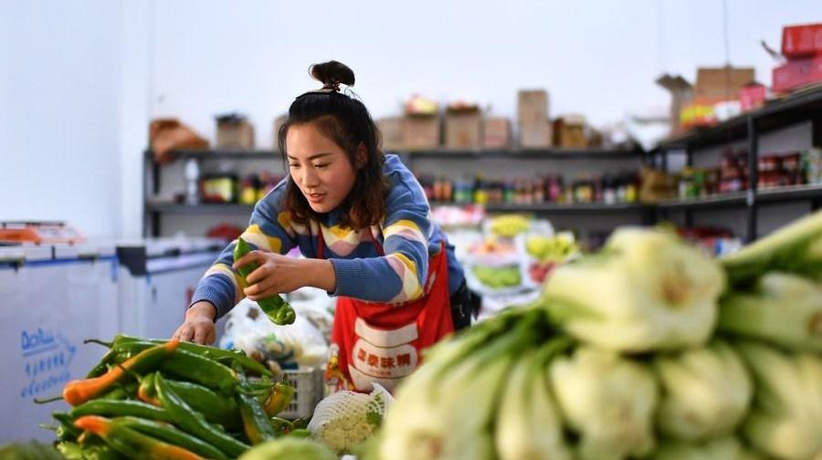 Tibet's food output hits record high in 2022