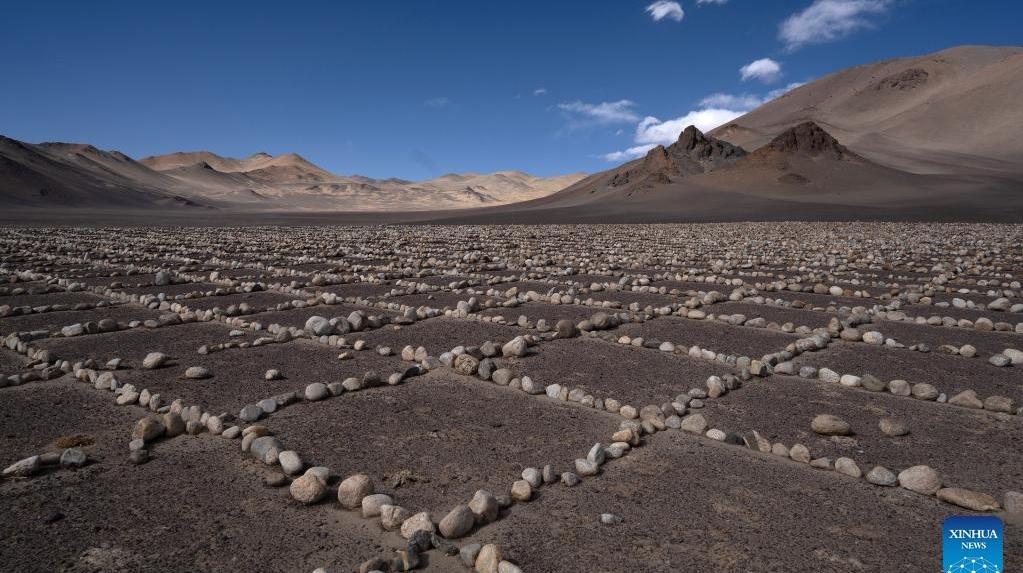Stone grids built to protect winter pasture from damage in Tibet