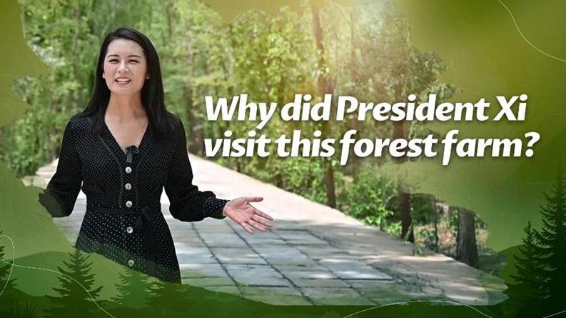 Why did President Xi visit this forest farm?