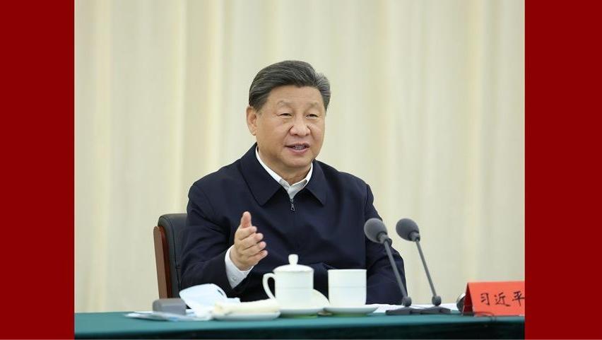 Xi urges sustained efforts to curb desertification