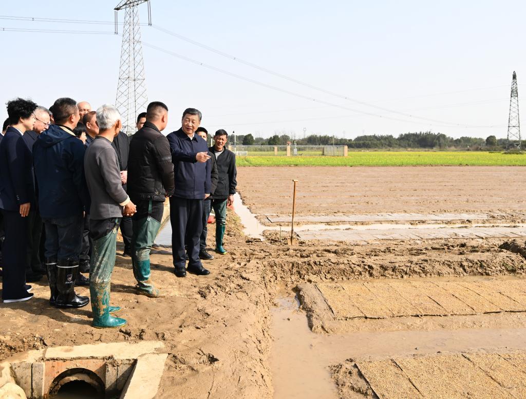 Xi inspects spring farming work