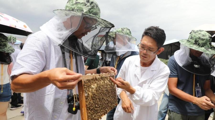 Study Tour of Hong Kong Teenagers in Qinghai: Honey on the Bank of the Yellow River
