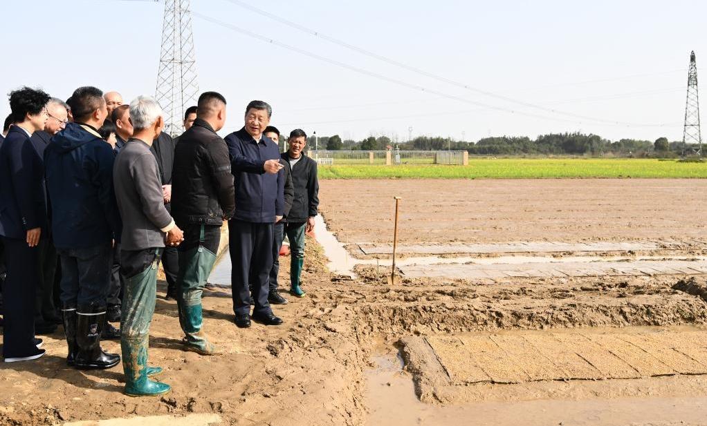 Xi inspects spring farming work