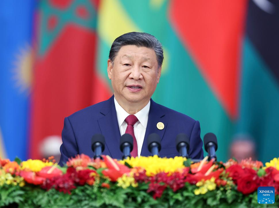 Xi proposes partnership actions to jointly advance modernization with Africa