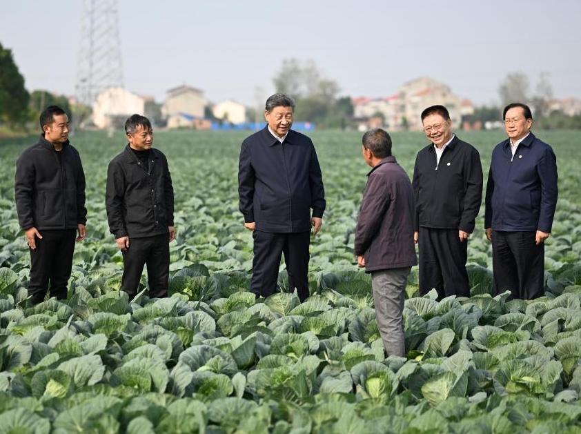 Xi inspects central China's Hubei Province