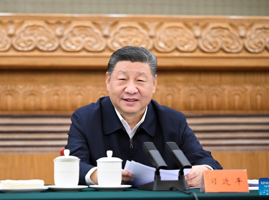 Xi urges healthy, high-quality development of private sector