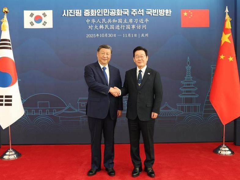 Xi says China willing to work with S. Korea for steady development of strategic cooperative partnership