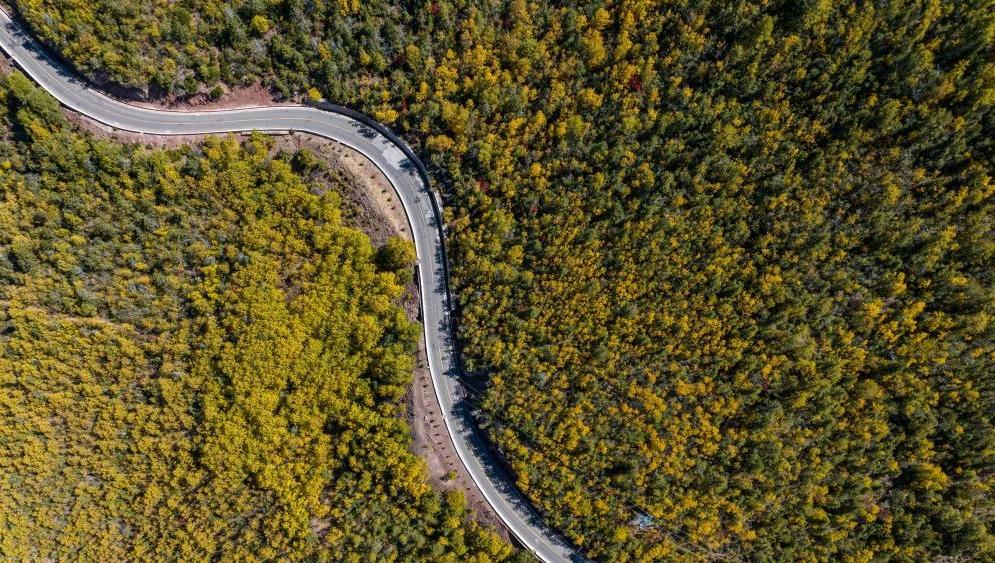 Autumn scenery of Hongla Mountain in SW China's Tibet